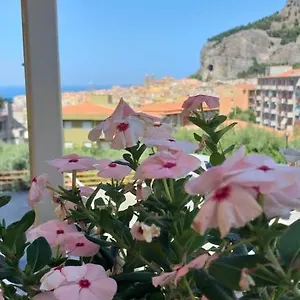 https://maison-marianna-cefalu.sicilyhotelsitaly.net